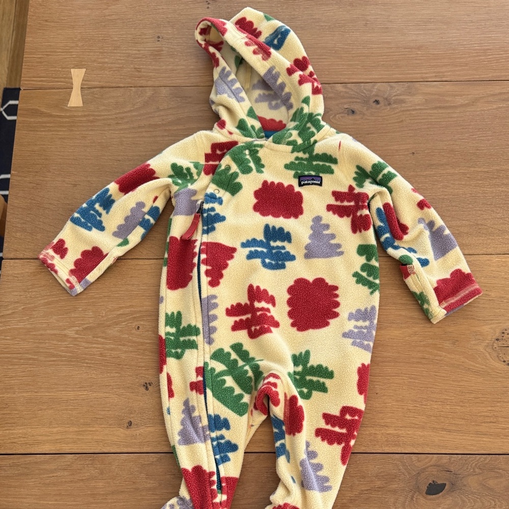 Patagonia Infant Micro D Fleece Bunting